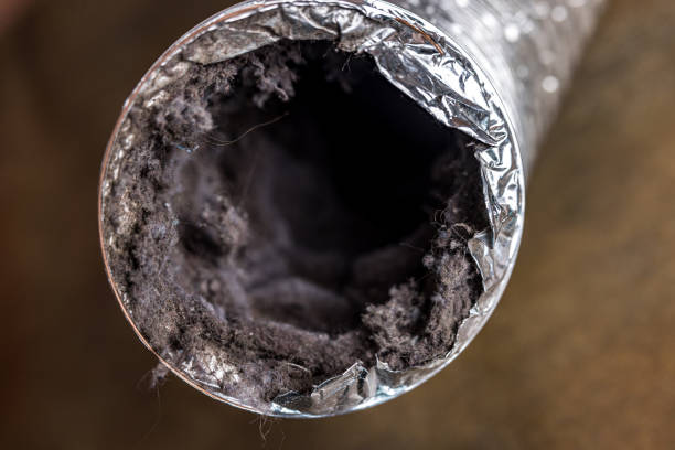 Best Professional Duct Cleaning Services  in Loudon, TN