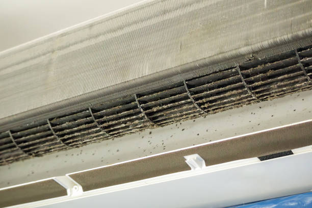 Best Ductwork Cleaning Services  in Loudon, TN